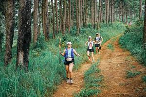 BIB: 
                            <button type="button" onclick="openModal(25674590)" class="btn btn-primary btn-sm float-right btn-popup" data-toggle="modal" data-target=".modal-high-quality">
                        <i class="fas fa-shopping-cart"></i> Add to Cart
                    </button>
                                            <button type="button" onclick="isThisMe(25674590, true)" class="btn btn-success btn-sm float-right btn-popup btn-isme hidden" data-toggle="tooltip" data-placement="bottom" title="นี่คือรูปของคุณใช่ไหม คลิกที่นี่เพื่อเอาเข้าอัลบั้ม">
                        <i class="fas fa-plus"></i> Add to album
                    </button>
                    <button type="button" onclick="isThisMe(25674590, false)" class="btn btn-warning btn-sm float-right btn-popup btn-isnotme hidden">
                        <i class="fas fa-ban"></i> Remove from album
                    </button>